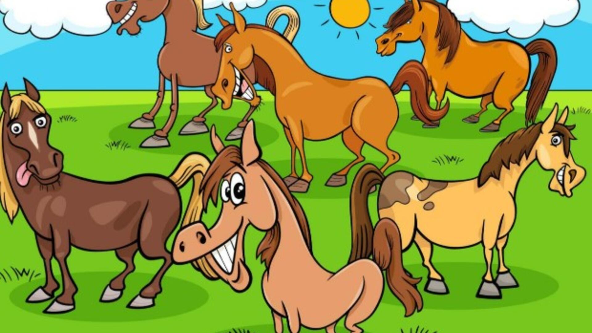 paarden