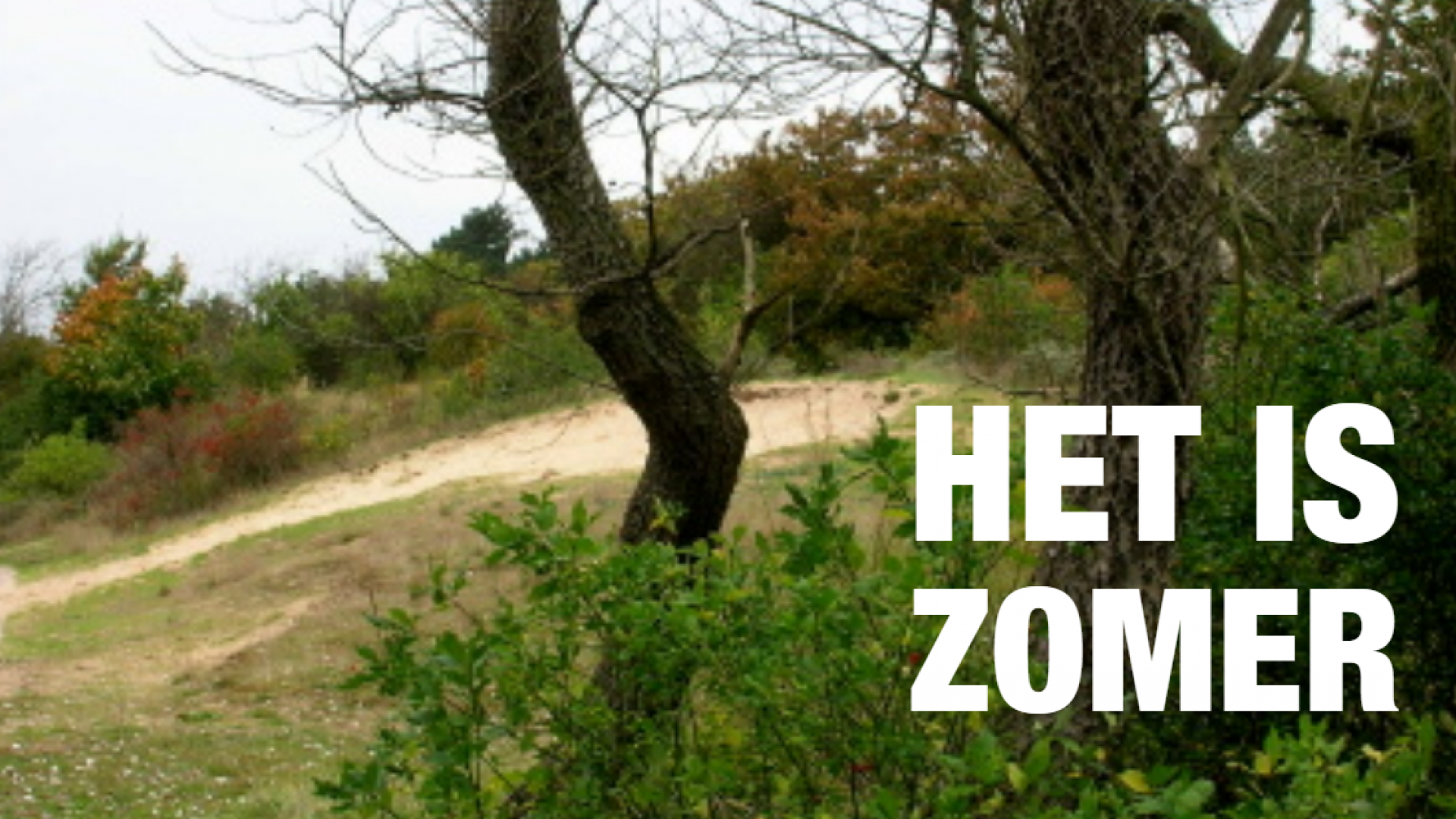 foto-groenlinks (10).png